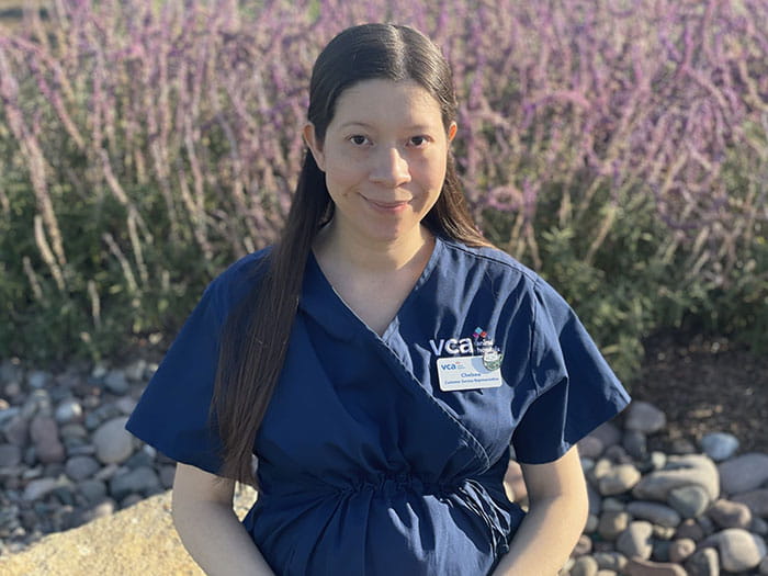 Chelsea V. Staff Photo