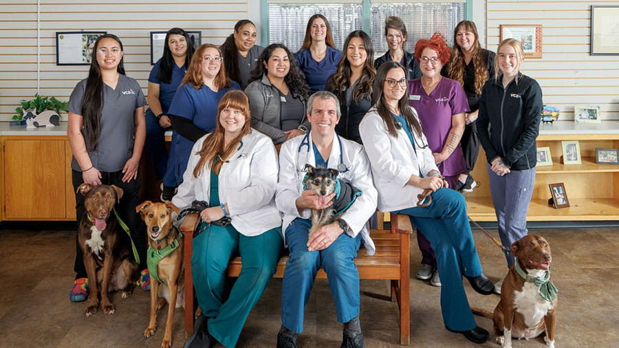 VCA Benicia Animal Hospital Team
