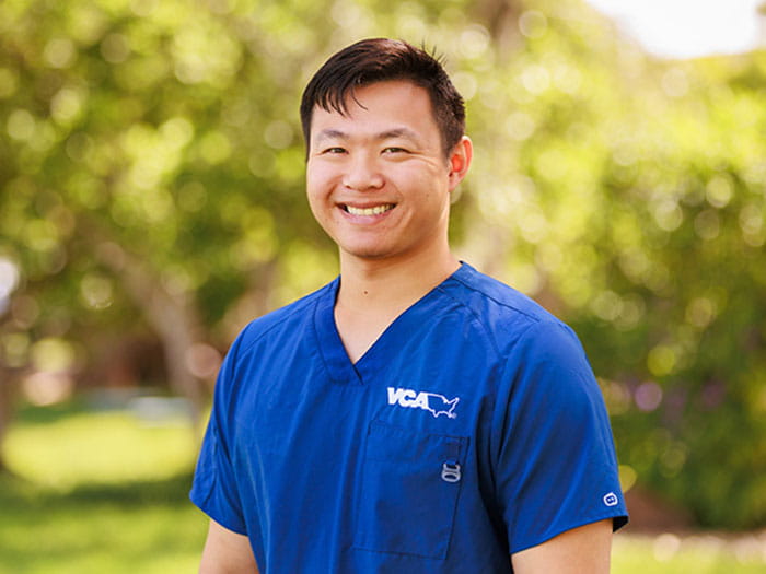 Dr. Timothy Tran Staff Photo