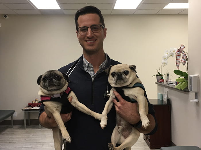 Dr. Michael Whalen Staff Photo