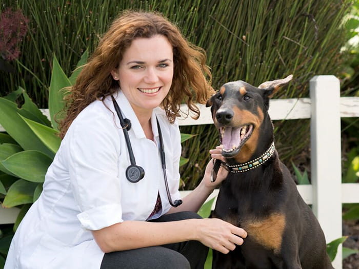 Dr. Laura Putnam Staff Photo