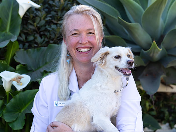 Dr. Matie McPeters Staff Photo