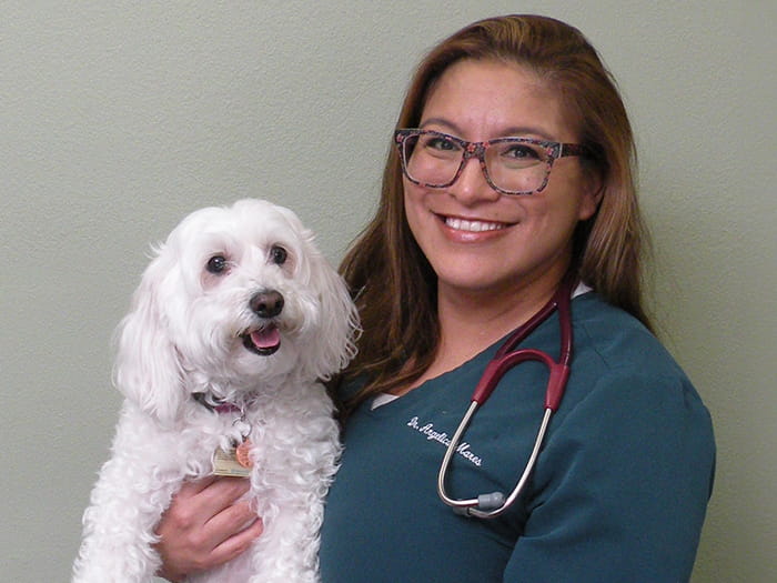 Dr. Angelica Mares Staff Photo