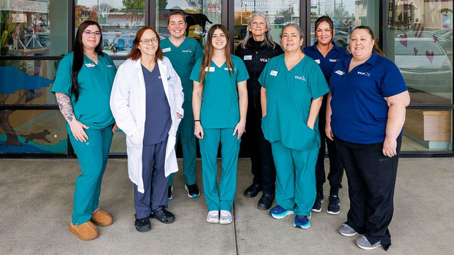 VCA Cypress Animal Hospital Team