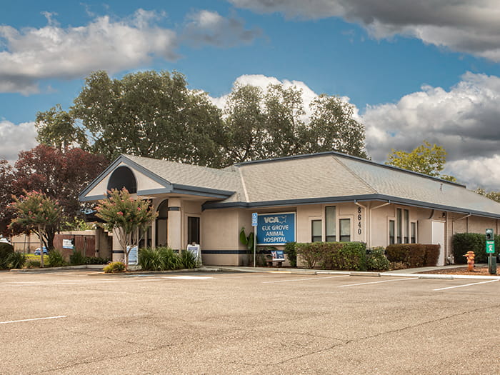 /-/media/2/vca/images/hospitals/united-states/california/elk-grove/galleries/700x525_elk-grove_fah.jpg?rev=65bc2687973441ca8c11a7dd6e98057a