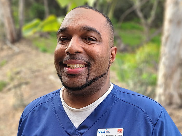 Marcus Peterson Staff Photo