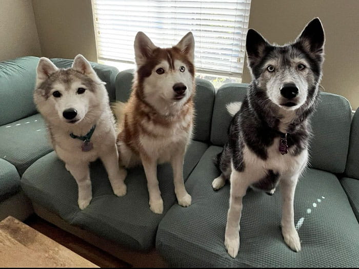 Lenette V. Staff Photo