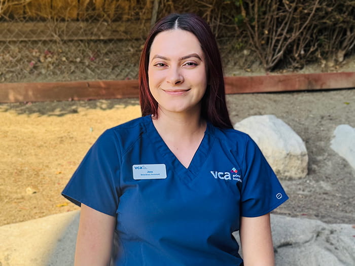 Jessica Romero Staff Photo