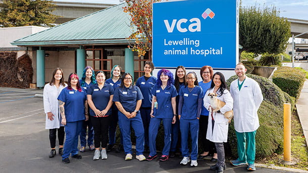 VCA Lewelling Animal Hospital