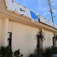 /-/media/2/vca/images/hospitals/united-states/california/mcclave/galleries/185x185_mcclaveca_hospital2.jpg?rev=282af23e6f564819b12f53a0cd42676c