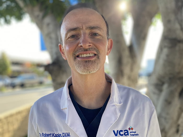 Dr. Robert Kaplan Staff Photo