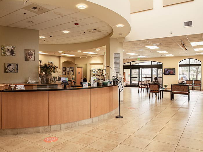 VCA Mueller Pet Medical Center Lobby