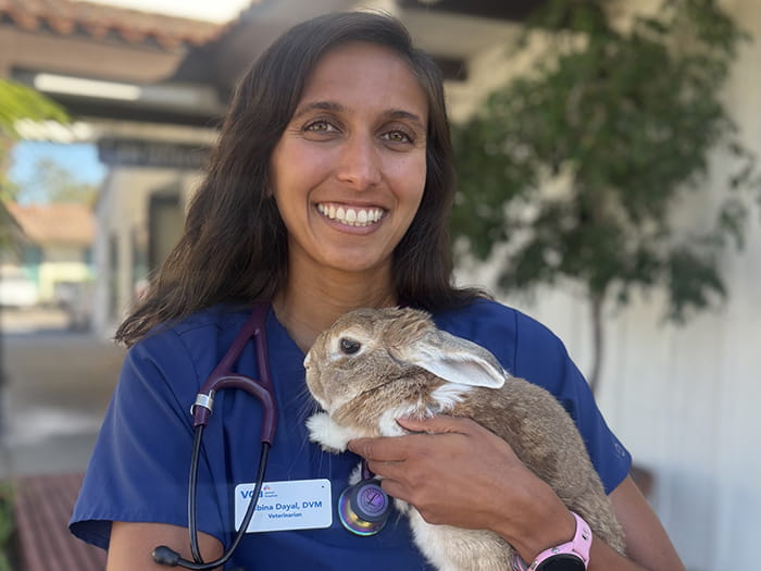 Dr. Sabina Dayal Staff Photo