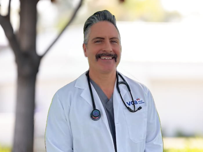 Dr. Michael King Staff Photo