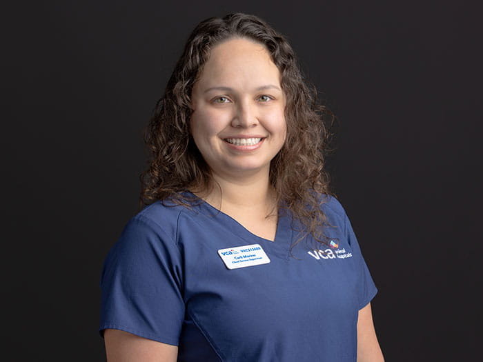 Carli Marino Staff Photo