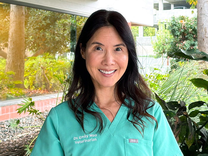 Dr. Emily Mao Staff Photo