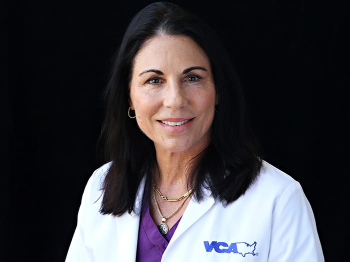 Dr. Kim Haddad Staff Photo