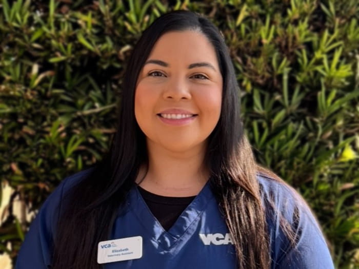 Elizabeth H. Staff Photo