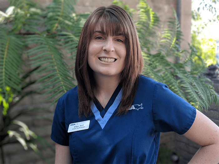 700x525 santa cruz EllenCunningham