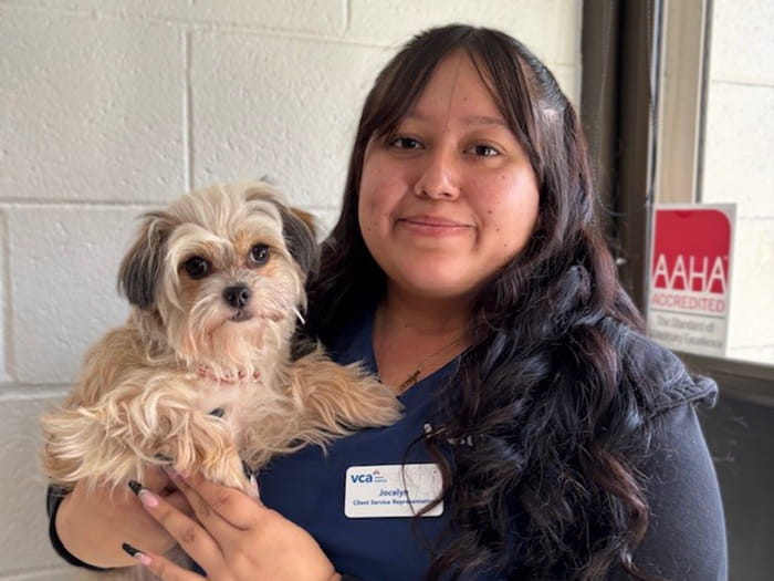 Jocelyn V. Staff Photo