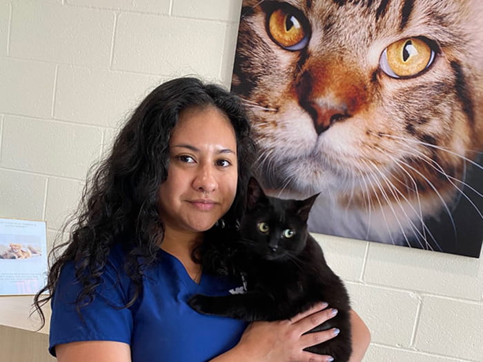 Nancy N. Staff Photo