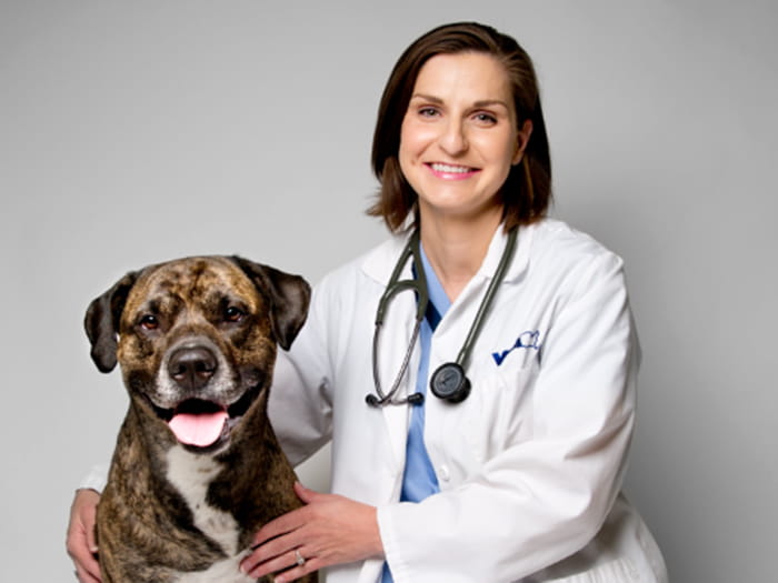 Dr. Jennifer Kingsley Staff Photo