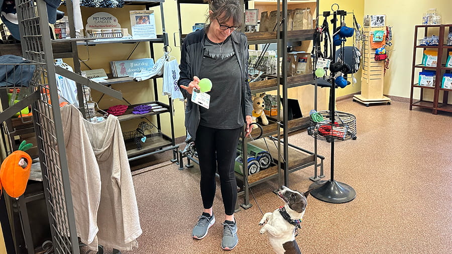 Veterinary staff with dog in the lobby of VCA Village Park Animal Hospital