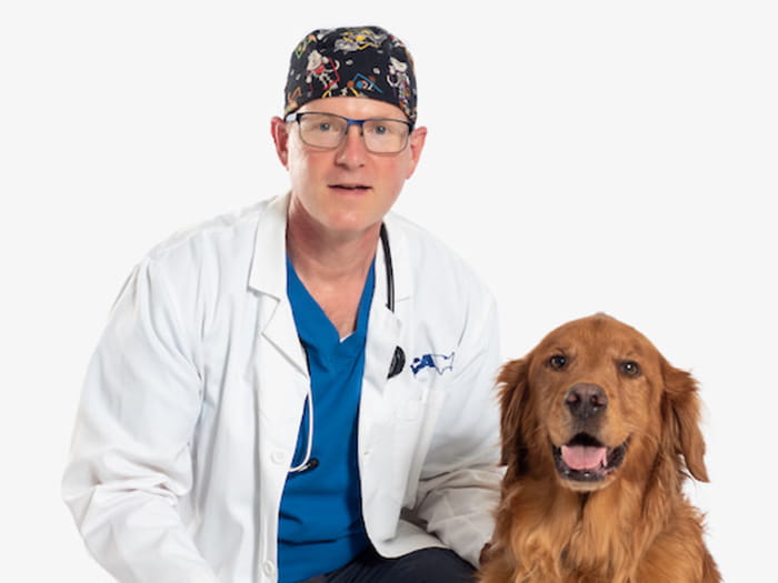 Dr. Jeffrey Steen Staff Photo