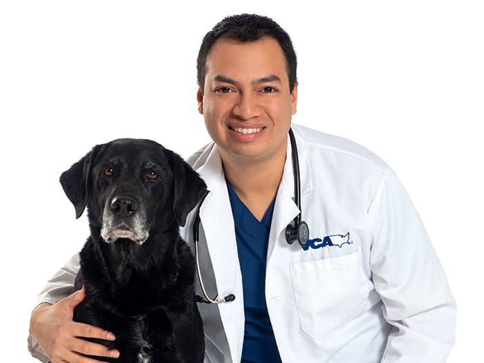 Dr. Jorge Alvarez Staff Photo