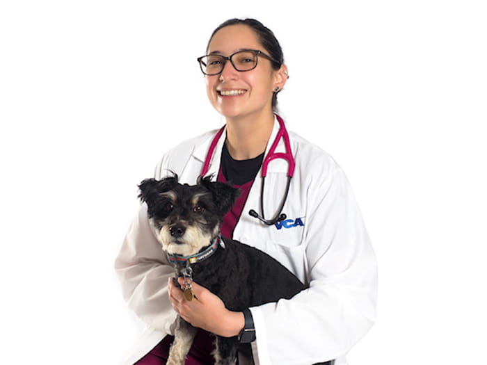 Dr. Laurence Cavelier Staff Photo