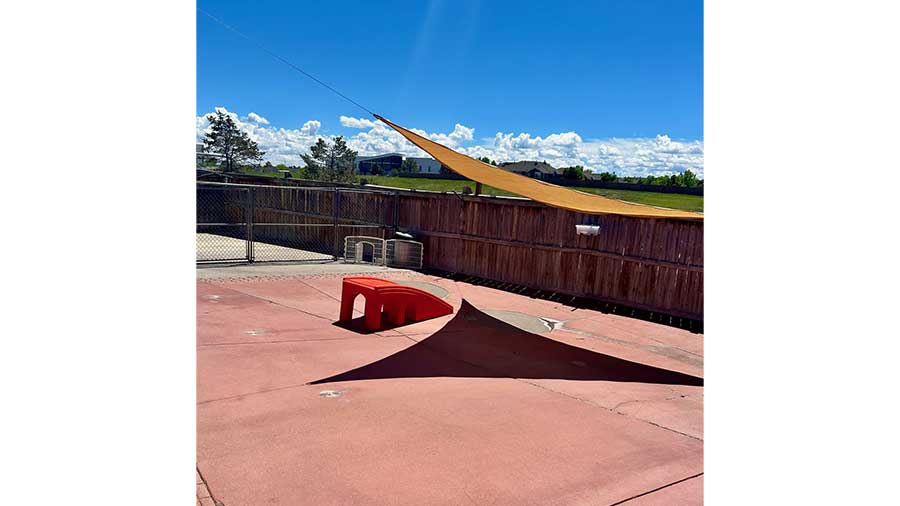 VCA Mountainview Animal Hospital & Pet Lodge - Outdoor Play Yard