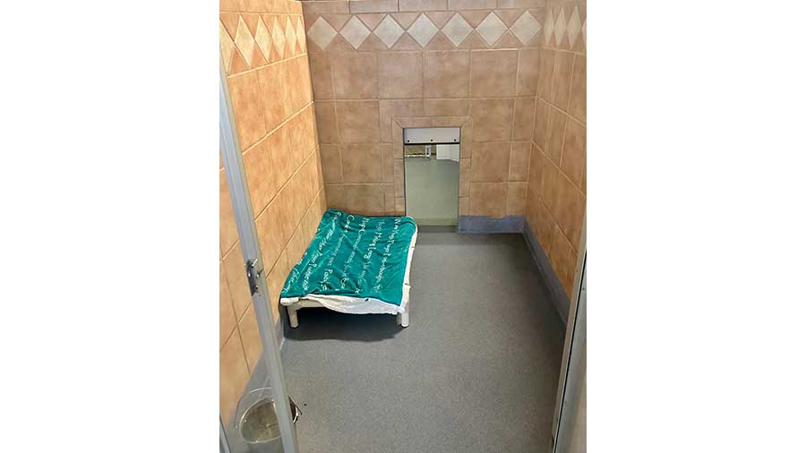 VCA Mountainview Animal Hospital & Pet Lodge - Suite