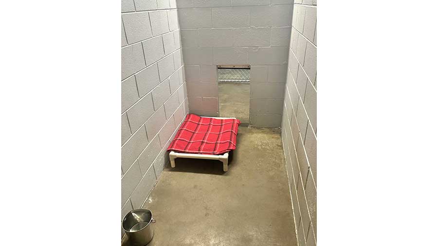 VCA Mountainview Animal Hospital & Pet Lodge - Large Kennel