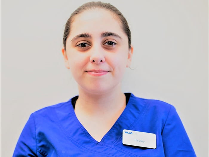 Hayley Guest Staff Photo