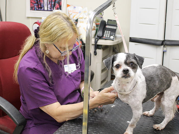 Deborah Parenteau Staff Photo