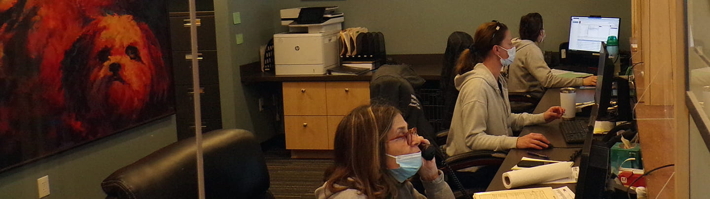 /-/media/2/vca/images/hospitals/united-states/connecticut/maple-ridge/staff/1440x405_maple-ridge_team.jpg?rev=a6d25c1517924a629dd952e8643d2da2