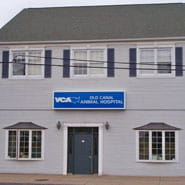 /-/media/2/vca/images/hospitals/united-states/connecticut/old-canal/galleries/185x185_map_oldcanal.jpg?rev=92c49fc754ce465a8a3d98648efb3ea0