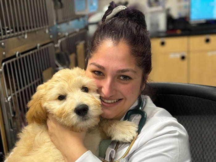 Dr. Kelly D'Ancicco Staff Photo