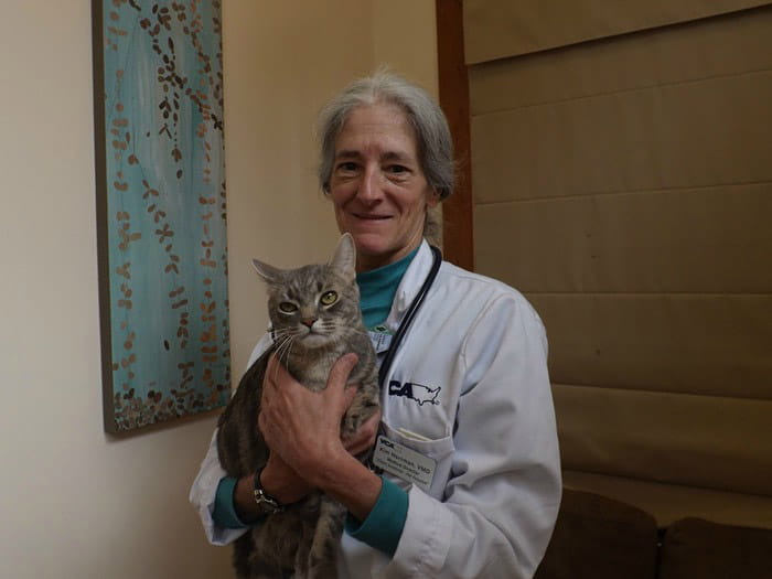 Kirkwood - Kim A. Herrman