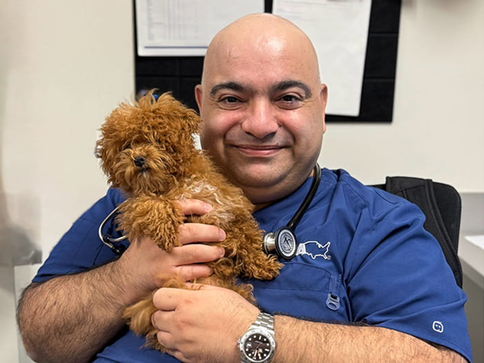 Dr. Sam Soufi Siavash Staff Photo