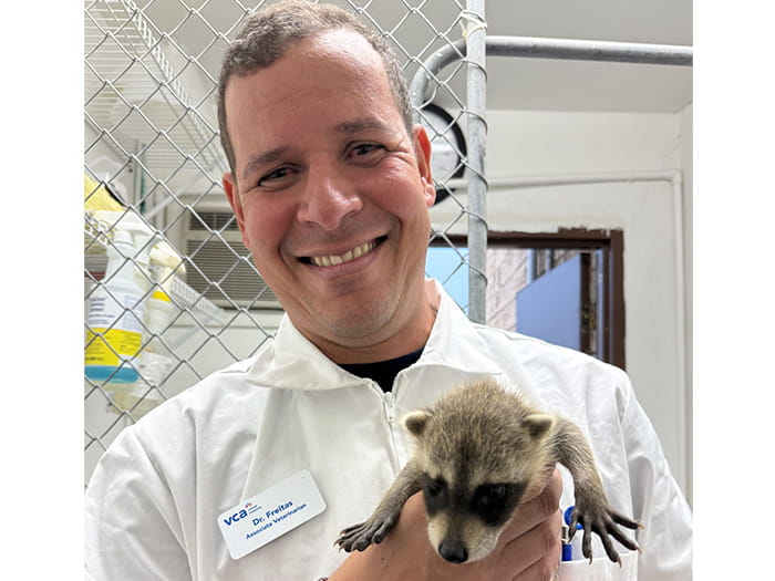 Dr. Augusto Freitas Staff Photo