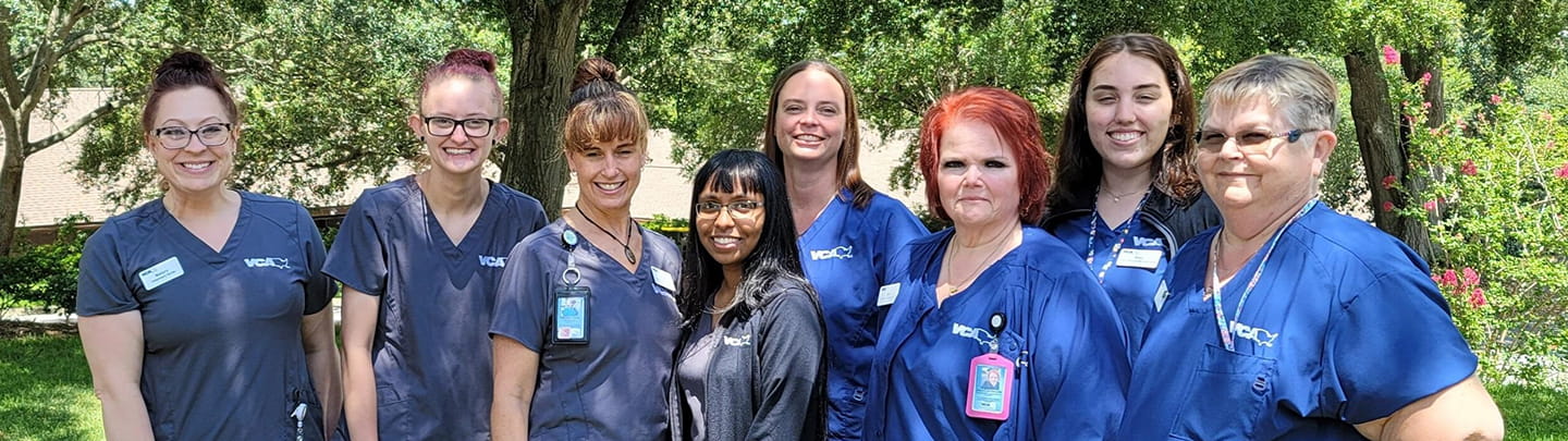 /-/media/2/vca/images/hospitals/united-states/florida/clermont/staff/1440x405_clermont_ourteam2.jpg?rev=7ef91da078914d99b966adef42caa54b