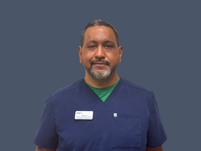 Thomas Pineiro Staff Photo