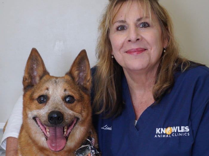 700x525 knowles snapper creek LindaP