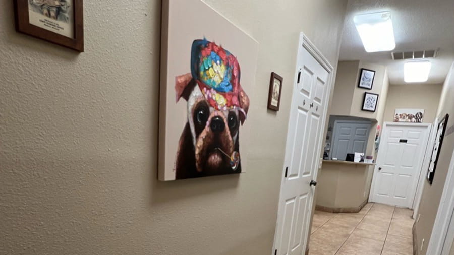 Welcome Hallway at VCA Little Animal Hospital
