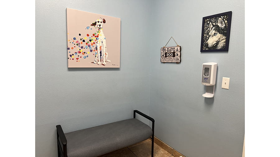 Exam Room at VCA Little Animal Hospital
