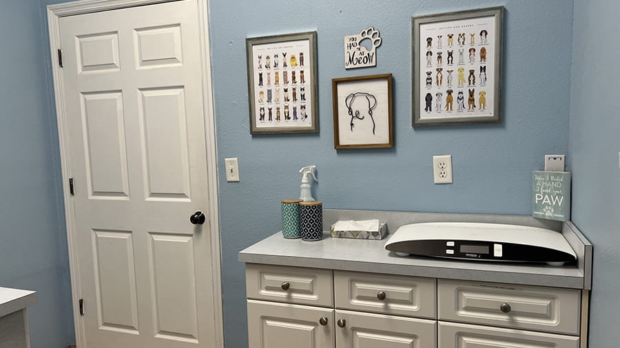 Exam Room at VCA Little Animal Hospital