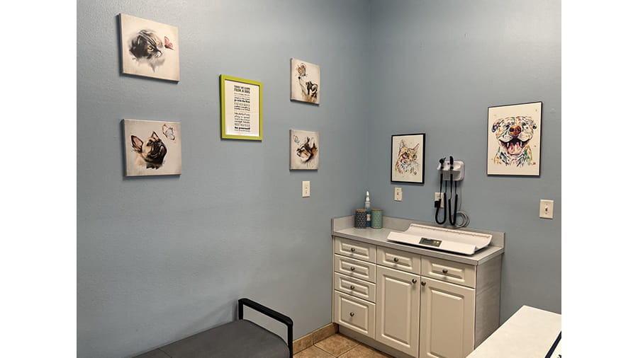 Exam Room at VCA Little Animal Hospital