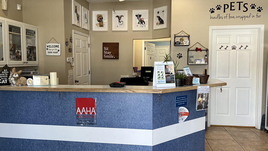 Lobby at VCA Little Animal Hospital