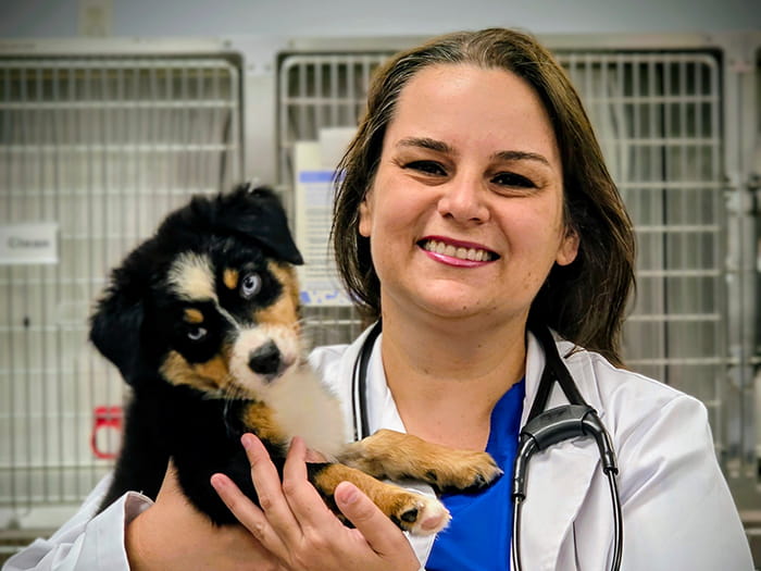 Dr. Caterine Wendt Staff Photo